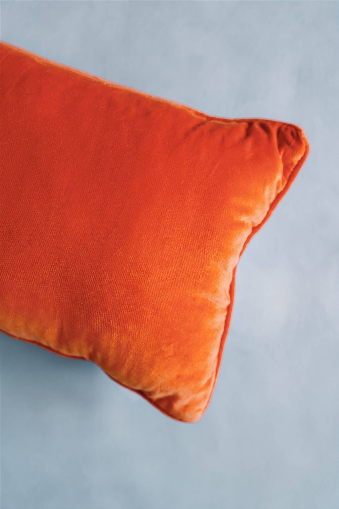 Eagle Needlepoint Pillow